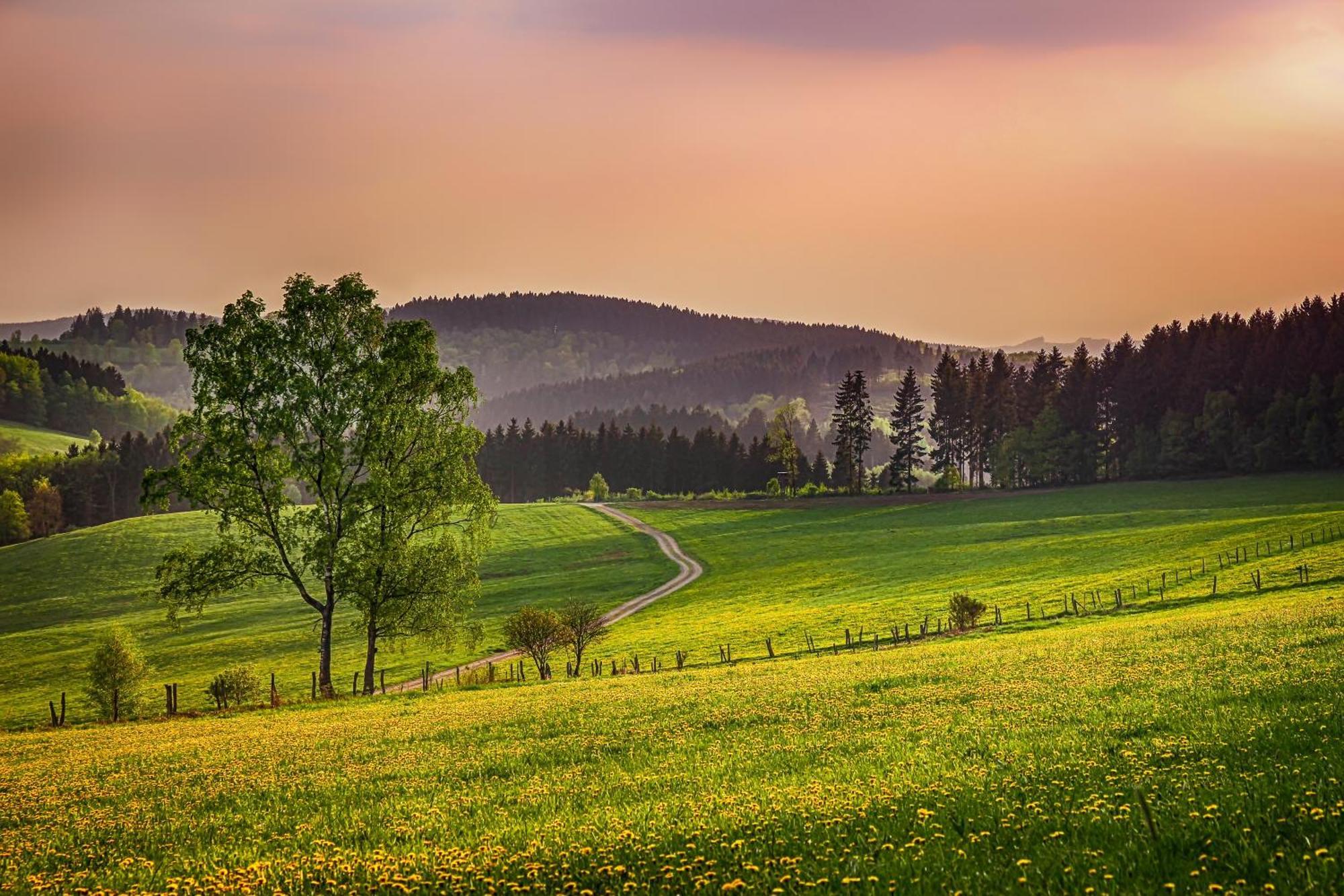 Suedhang * Winterberg